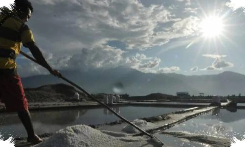 Impor Garam Industri Naik Lagi, Serapan Garam Lokal Makin Tertekan