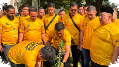 AMPG Tanam 444.444 Pohon, Gerakan Hijau yang Diarahkan dari Jakarta