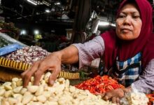 Dolar AS Naik, Harga Bawang Putih Tembus Rp 100.000 per Kg di Sejumlah Daerah