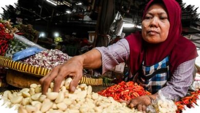 Dolar AS Naik, Harga Bawang Putih Tembus Rp 100.000 per Kg di Sejumlah Daerah