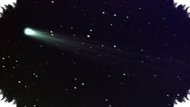 Matahari Ternyata Bisa Mengirim Komet ke Luar Tata Surya, Sebagian Bisa Pulang Lagi
