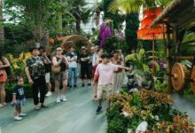 Indonesia Tampil Pertama di Gardens by the Bay, 8 Wilayah Dibawa ke Singapura