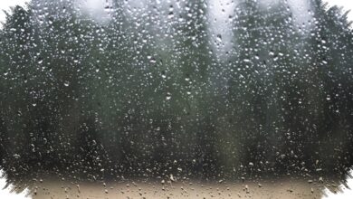 BMKG Waspada Hujan Ringan di Sumut, Sore Hingga Malam Sejumlah Wilayah Basah