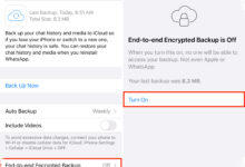 WhatsApp Uji Backup Cloud Terenkripsi di iOS, Cadangan Chat Jadi Lebih Aman