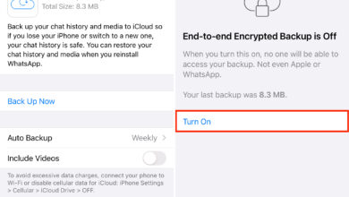 WhatsApp Uji Backup Cloud Terenkripsi di iOS, Cadangan Chat Jadi Lebih Aman