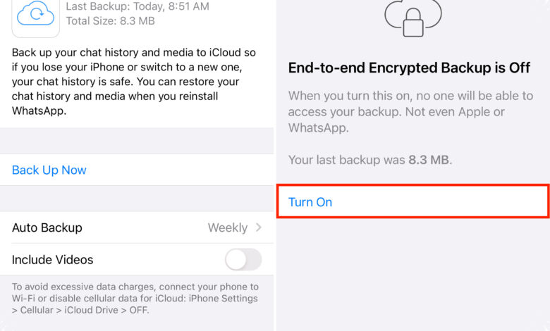 WhatsApp Uji Backup Cloud Terenkripsi di iOS, Cadangan Chat Jadi Lebih Aman