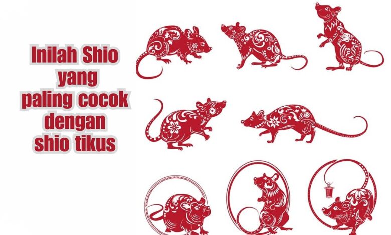 3 Shio Paling Diuntungkan Hari Ini, Ular hingga Tikus Dipacu Lebih Cermat