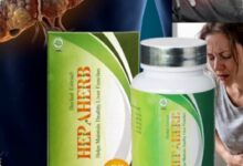Hepaherb Jadi Pendamping Hati yang Tak Bisa Dianggap Remeh oleh Penderita Hepatitis