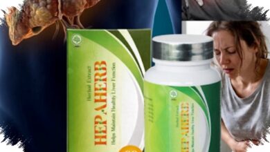 Hepaherb Jadi Pendamping Hati yang Tak Bisa Dianggap Remeh oleh Penderita Hepatitis