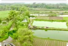 Skema 10 Tahun Jadi Penahan, Bank Tanah Cegah Lahan Reforma Agraria Lepas ke Perusahaan