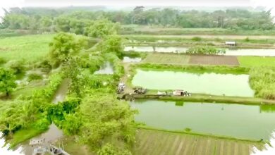 Skema 10 Tahun Jadi Penahan, Bank Tanah Cegah Lahan Reforma Agraria Lepas ke Perusahaan