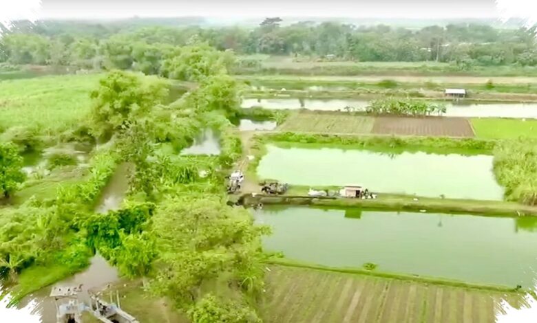 Skema 10 Tahun Jadi Penahan, Bank Tanah Cegah Lahan Reforma Agraria Lepas ke Perusahaan