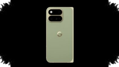 Google Pixel 11 Pro Fold Muncul di Warna Pine, Modul Kamera Baru Langsung Terlihat Berbeda