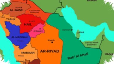 DP World Siapkan Jalur Aman Baru di Fujairah, Hormuz Tak Lagi Satu-Satunya Opsi