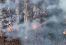 Karhutla Landa Gunung Gombak Ponorogo, Api Hampir Sampai Permukiman