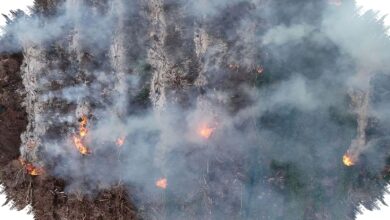 Karhutla Landa Gunung Gombak Ponorogo, Api Hampir Sampai Permukiman