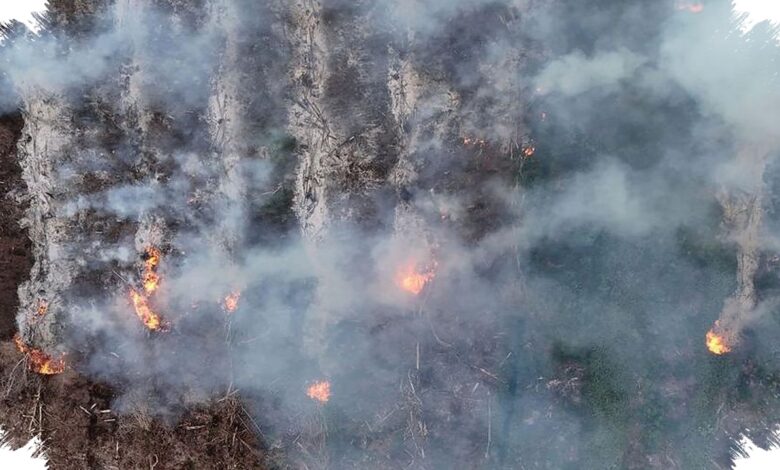 Karhutla Landa Gunung Gombak Ponorogo, Api Hampir Sampai Permukiman