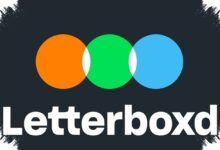 Netflix, Sony, dan Paramount Berebut Letterboxd, Independensinya Terancam?