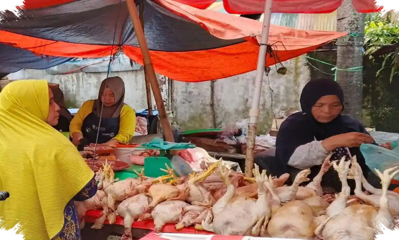 Pedagang Ayam di Lubuk Linggau Tetap Tenang, Isu Pindah ke Bukit Sulap Masih Menggantung
