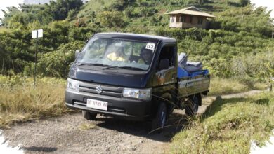 MBG Diduga Dorong Lonjakan Mobil Niaga Ringan, Carry dan Gran Max Melaju Kencang