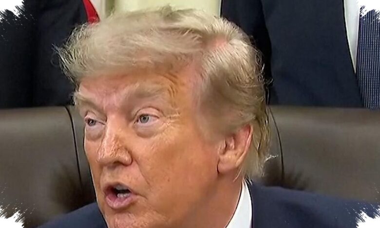 Trump Puji Iran di Tengah Perang, Pembebasan Warga AS Ini Jadi Sorotan