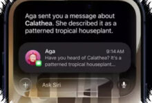 iOS 27 Public Beta Dibuka, Siri AI dan Performa Apple Langsung Naik Kelas