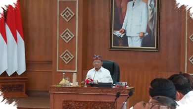Bali Diminta Ikut Kelola PFII, Tantangan Terbesar Ada di Tangan Pemda