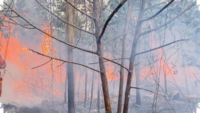 Ribuan Hotspot Picu Karhutla Kalsel Meluas, Bandara Syamsudin Noor Jadi Prioritas Utama