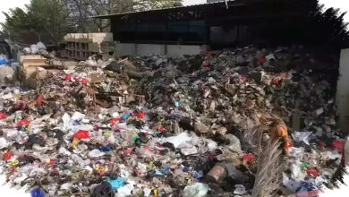 Pemerintah Percepat Waste to Energy, Darurat Sampah Mulai Ditekan dari Banyak Kota