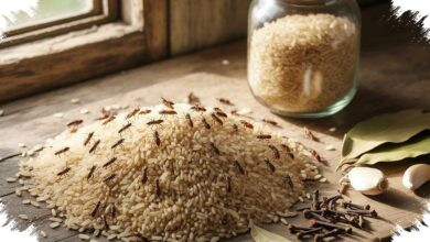 7 Cara Mengatasi Kutu Beras agar Stok Dapur Tidak Cepat Rusak