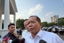 Koperasi Naik Kelas, dari PLTS 0,5 MW hingga Pabrik CPO yang Siap Diresmikan