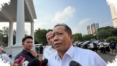 Koperasi Naik Kelas, dari PLTS 0,5 MW hingga Pabrik CPO yang Siap Diresmikan