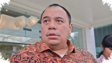Danantara Bidik Investor Asing untuk Pusat Finansial Bali, Abu Dhabi Jadi Acuan