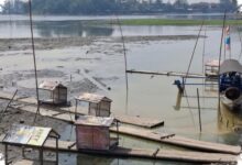 Situ Gede Tinggal Tergenang 20 Hektare, Wisata Perahu dan Sawah Kini Tertekan