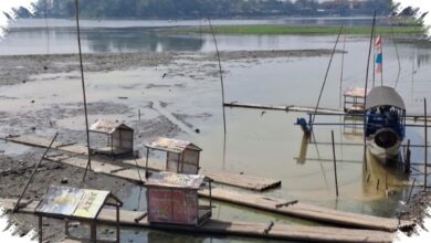 Situ Gede Tinggal Tergenang 20 Hektare, Wisata Perahu dan Sawah Kini Tertekan
