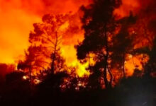 Kebakaran Hutan Mengepung Prancis, 11.000 Hektare Hangus dalam Tiga Pekan