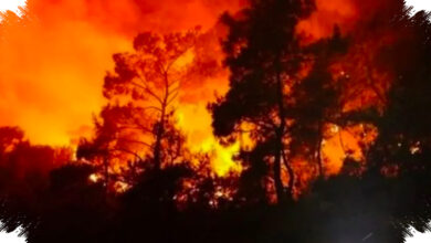 Kebakaran Hutan Mengepung Prancis, 11.000 Hektare Hangus dalam Tiga Pekan