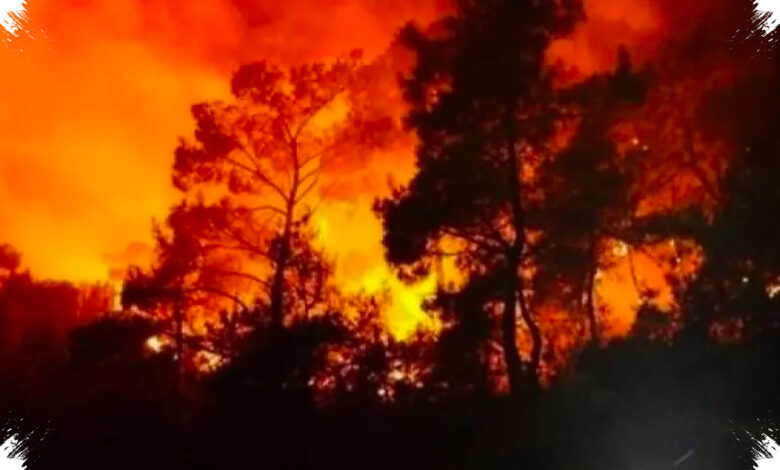Kebakaran Hutan Mengepung Prancis, 11.000 Hektare Hangus dalam Tiga Pekan