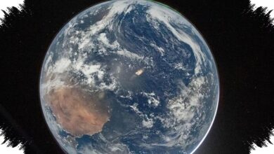 Bumi Bisa Kehilangan Tumbuhan 1,35 Miliar Tahun Sebelum Matahari Jadi Raksasa Merah