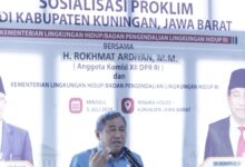Pasar Karbon Mulai Dibuka, DPR Minta Warga Penjaga Hutan Tak Hanya Jadi Penonton