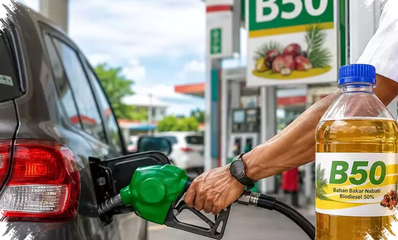 B50 Dipacu untuk Putus Impor Solar, Sawit Petani Jadi Tumpuan Swasembada Energi