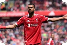 Tottenham Mengincar Cody Gakpo, Liverpool Menutup Rapat Pintu Keluar dari Anfield