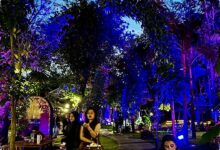 Hutan Kota GBK Jadi Wellness Garden 4 Hari, Yoga Pagi hingga Konser Intim