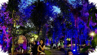 Hutan Kota GBK Jadi Wellness Garden 4 Hari, Yoga Pagi hingga Konser Intim