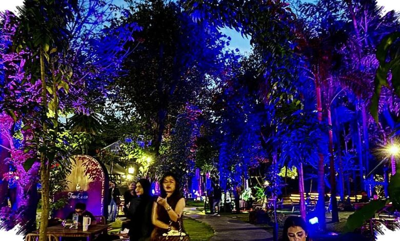 Hutan Kota GBK Jadi Wellness Garden 4 Hari, Yoga Pagi hingga Konser Intim