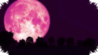 Bulan Sabit Muda dan Venus Bertemu 17 Juli 2026, Langit Senja Barat Layak Ditunggu