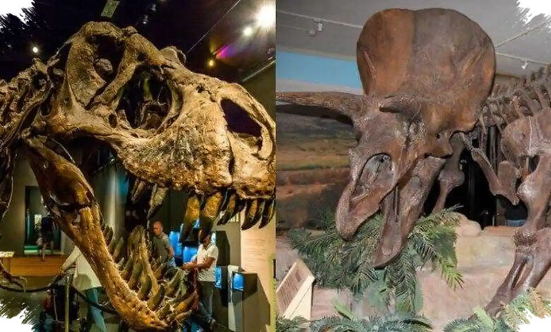 Dinosaurus Pernah Dianggap Tulang Raksasa, Tiga Fosil Mengubah Sejarahnya