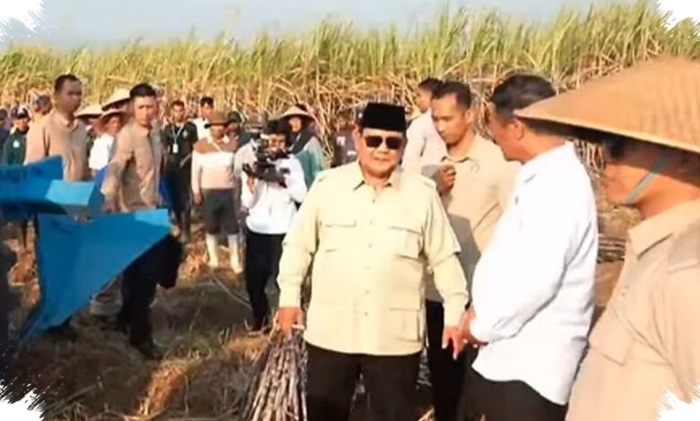 Peremajaan Tebu Mandek 12 Tahun, Prabowo Pangkas Target Empat Tahun Jadi Dua
