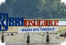 Laba BRINS Melonjak ke Rp674,75 Miliar, Solvabilitas Tetap Nyaris 3 Kali Batas Minimum