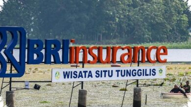Laba BRINS Melonjak ke Rp674,75 Miliar, Solvabilitas Tetap Nyaris 3 Kali Batas Minimum